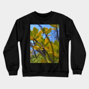 Red mangrove Crewneck Sweatshirt